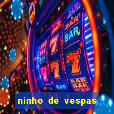 ninho de vespas significado espiritual